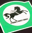 Screenprinted Transfer
